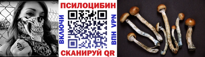 Галлюциногенные грибы мицелий  Бирюч 